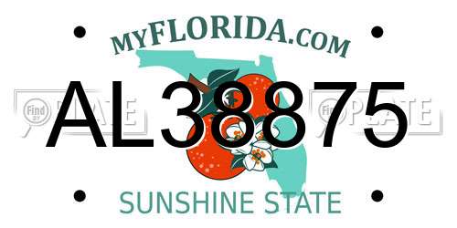 AL38875 Florida License Plate