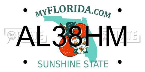 AL38HM Florida License Plate