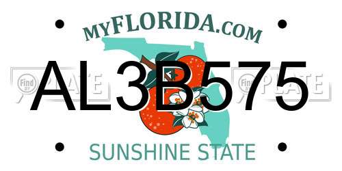 AL3B575 Florida License Plate