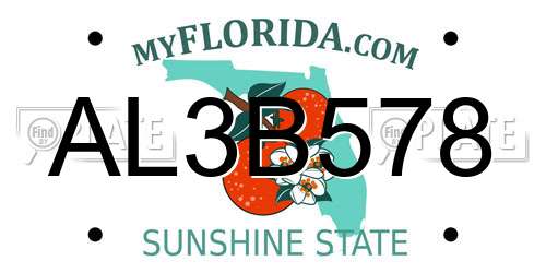 AL3B578 Florida License Plate