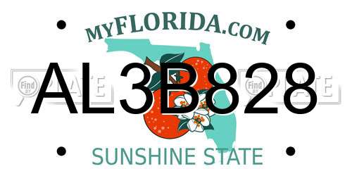 AL3B828 Florida License Plate