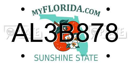 AL3B878 Florida License Plate