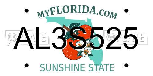 AL3S525 Florida License Plate
