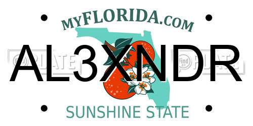 AL3XNDR Florida License Plate