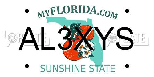 AL3XYS Florida License Plate