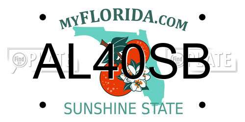 AL40SB Florida License Plate