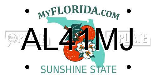 AL41MJ Florida License Plate