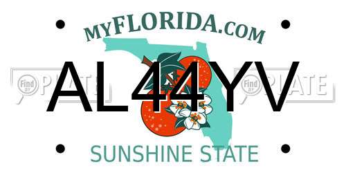 AL44YV Florida License Plate