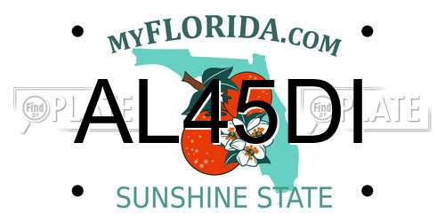 AL45DI Florida License Plate