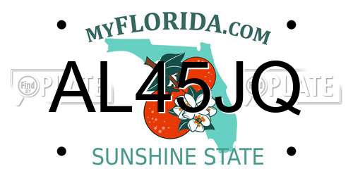 AL45JQ Florida License Plate
