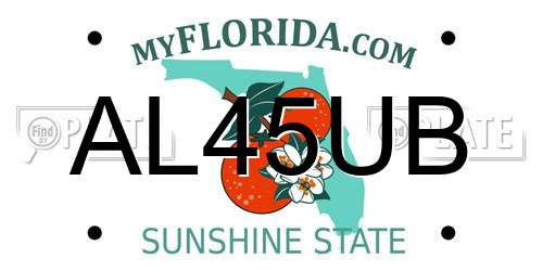 AL45UB Florida License Plate