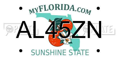 AL45ZN Florida License Plate