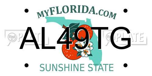 AL49TG Florida License Plate