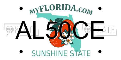 AL50CE Florida License Plate
