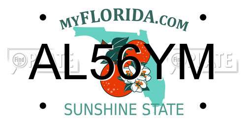 AL56YM Florida License Plate