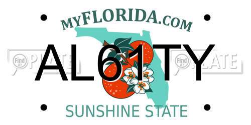 AL61TY Florida License Plate
