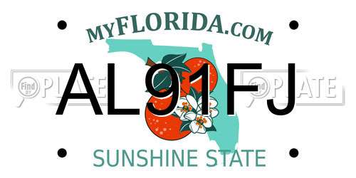 AL91FJ Florida License Plate