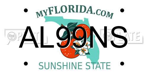 AL99NS Florida License Plate