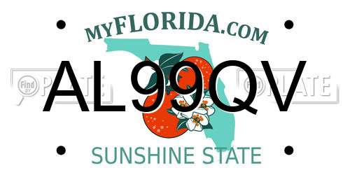 AL99QV Florida License Plate