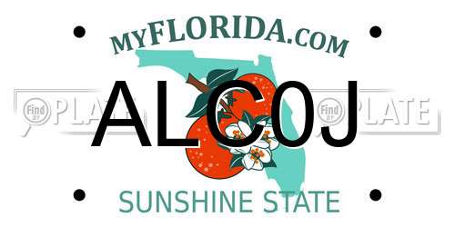 ALC0J Florida License Plate