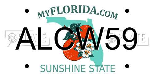 ALCW59 Florida License Plate