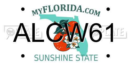 ALCW61 Florida License Plate