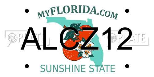 ALCZ12 Florida License Plate