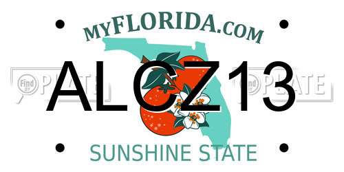 ALCZ13 Florida License Plate