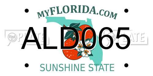 ALD065 Florida License Plate