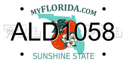 ALD1058 Florida License Plate