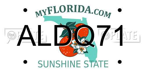 ALDQ71 Florida License Plate