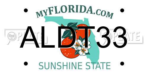 ALDT33 Florida License Plate