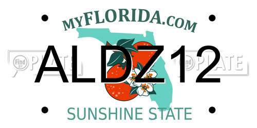 ALDZ12 Florida License Plate