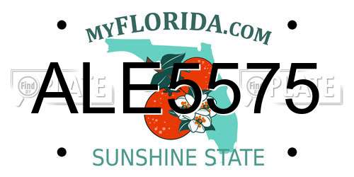 ALE5575 Florida License Plate
