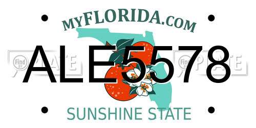 ALE5578 Florida License Plate