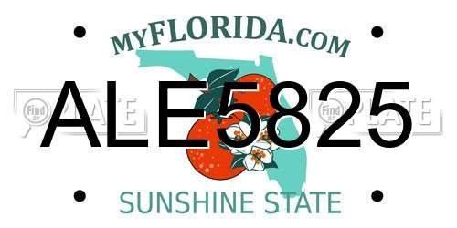 ALE5825 Florida License Plate