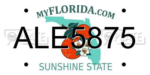 ALE5875 Florida License Plate