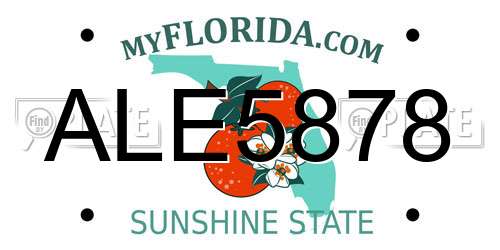 ALE5878 Florida License Plate