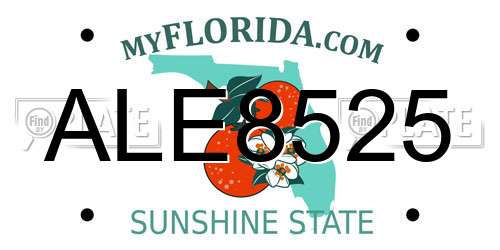 ALE8525 Florida License Plate