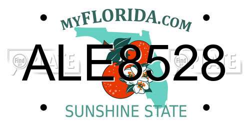ALE8528 Florida License Plate