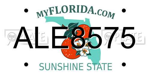 ALE8575 Florida License Plate