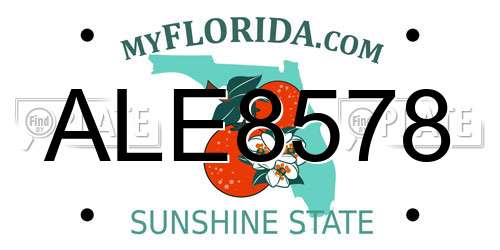 ALE8578 Florida License Plate
