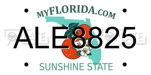 ALE8825 Florida License Plate