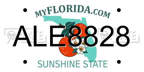 ALE8828 Florida License Plate