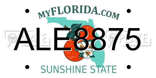 ALE8875 Florida License Plate