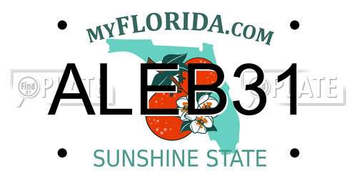 ALEB31 Florida License Plate