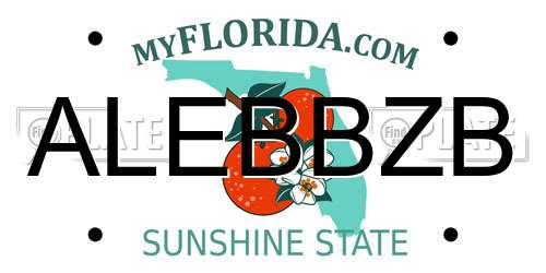 ALEBBZB Florida License Plate