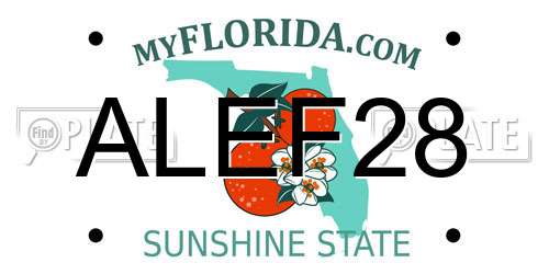ALEF28 Florida License Plate