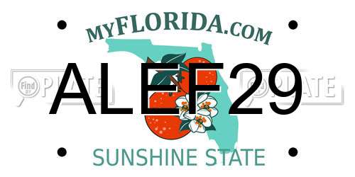 ALEF29 Florida License Plate