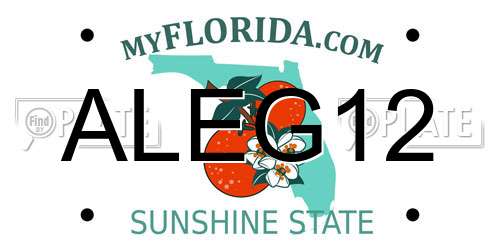 ALEG12 Florida License Plate